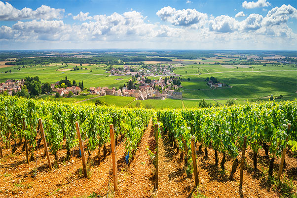 Region Bourgogne Franche-Comte 